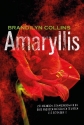 Productafbeelding Amaryllis