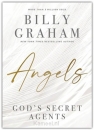 Productafbeelding Angels : God's Secret Agents