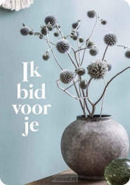 Productafbeelding Minikaart Ik bid voor jou