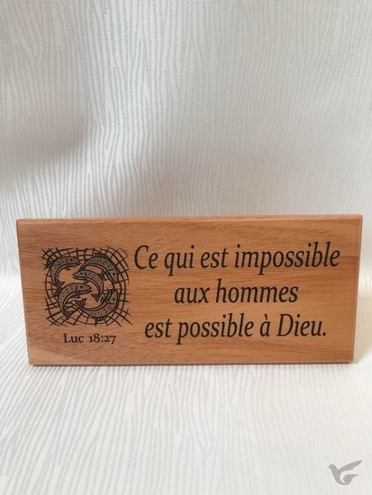 Productafbeelding: voorkant van Wandbord 22x10cm ce qui est impossible