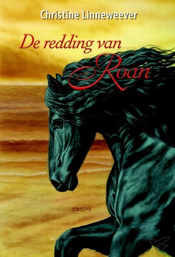 Productafbeelding: voorkant van Redding van Roan