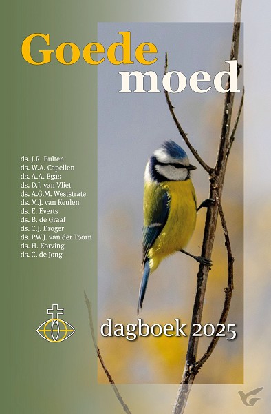 Productafbeelding: voorkant van Goede moed 2025 grote letter